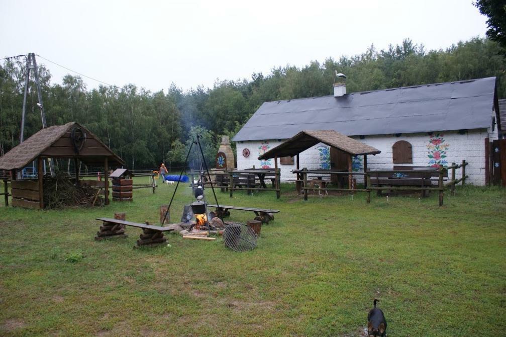Zagroda Zalipie Gostynin Exterior foto