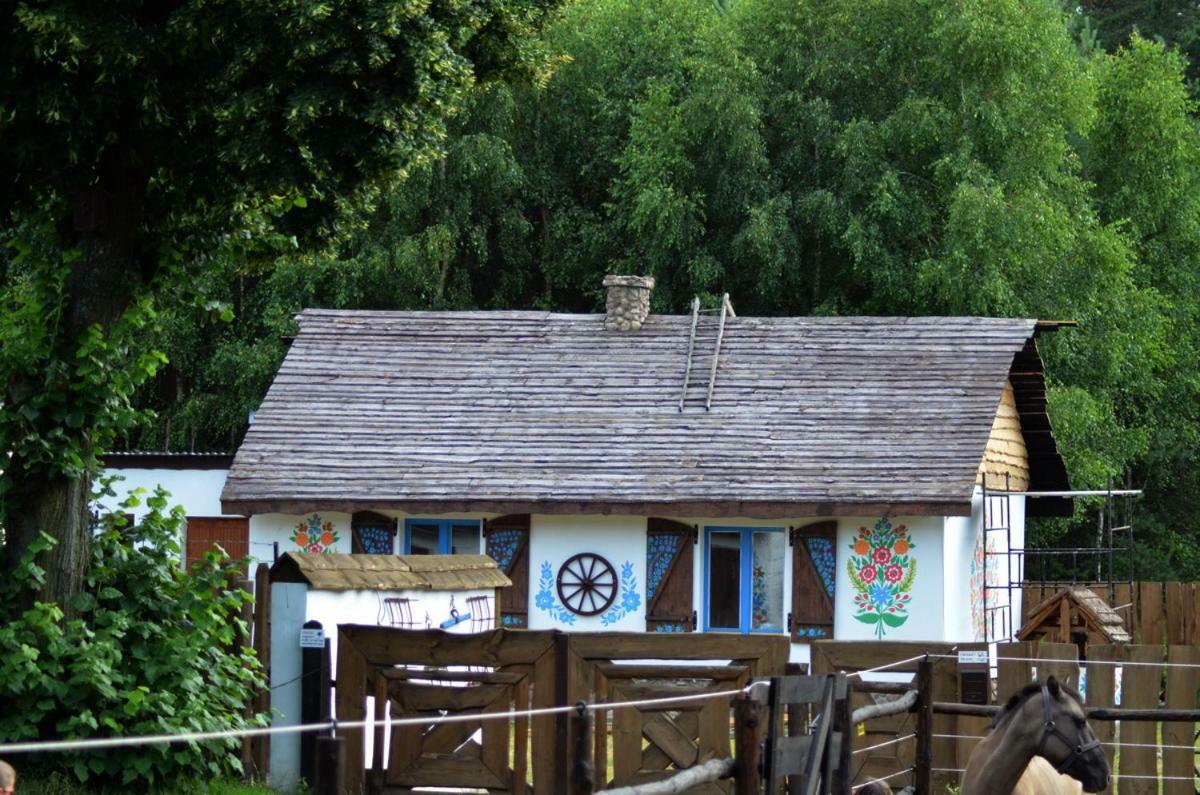 Zagroda Zalipie Gostynin Exterior foto